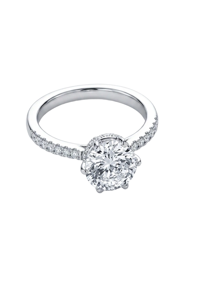 Ring background removal after Poliro
